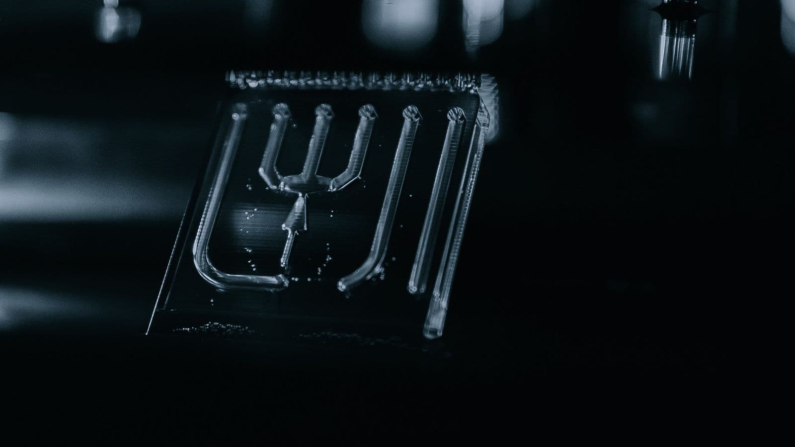 microfluidic_chip_hm